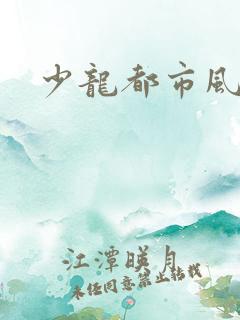 少龙都市风流行