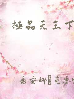 极品天王下载