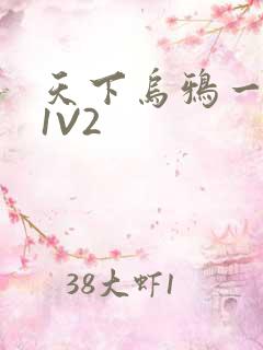 天下乌鸦一般黑1V2