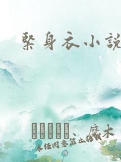 紧身衣小说