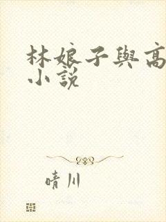 林娘子与高衙内小说