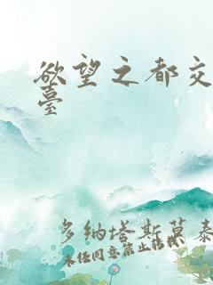 欲望之都交友平台