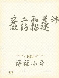 容二和叶沐走着做的描述