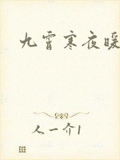 九霄寒夜暖小说