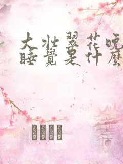 大壮翠花晚上不睡觉是什么电视剧