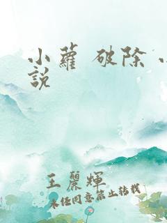 小萝 破除 小说
