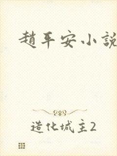 赵平安小说主角