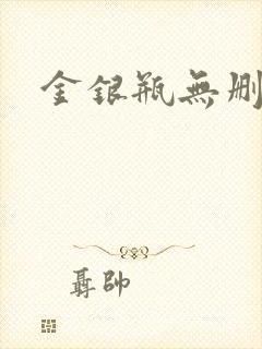 金银瓶无删除