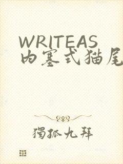 WRITEAS内塞式猫尾