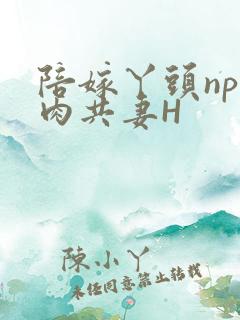 陪嫁丫头np全肉共妻H