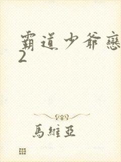 霸道少爷恋上我2