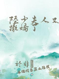 陆少夫人又双叒撒娇了