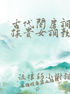 古代闺房调教h揉贵女调教记