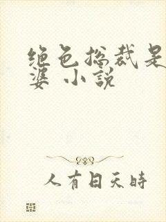 绝色总裁是我老婆 小说