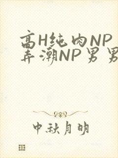 高H纯肉NP 弄潮NP男男