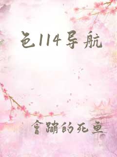 色114导航