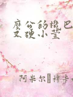 么公的机巴又粗又硬小莹