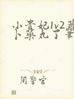 小贵妃1v2萝卜药丸了笔趣阁