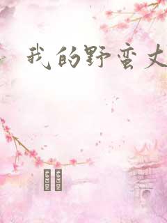 我的野蛮丈夫