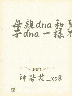 母亲dna和儿子dna一样不
