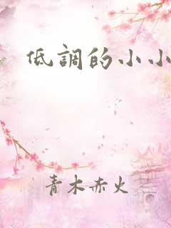 低调的小小宫女