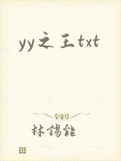 yy之王txt