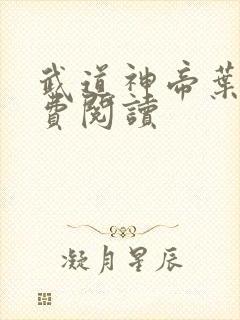 武道神帝叶辰免费阅读