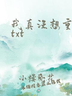 我真没想重生啊txt