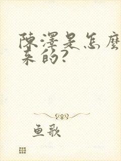 陈泽是怎么火起来的?