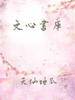 文心书库