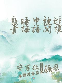 熟睡中被进了H青梅诱哄视频