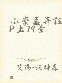 小豪孟卉钰慧三P上79章