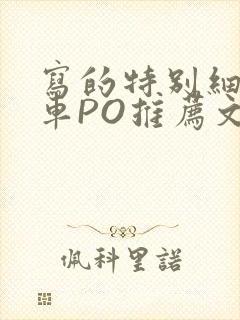 写的特别细的开车PO推荐文多人