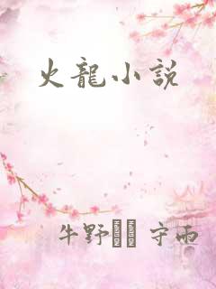 火龙小说