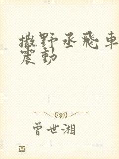 撒野丞飞车道具震动