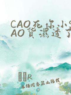 CAO死你小SAO货湿透了学长