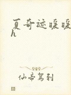 夏奇迹暖暖快穿h