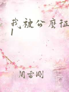 我被公么征服了1