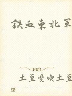 铁血东北军