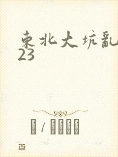 东北大坑乱1—23