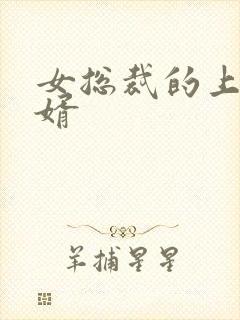 女总裁的上门女婿