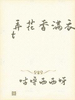 弄花香满衣txt
