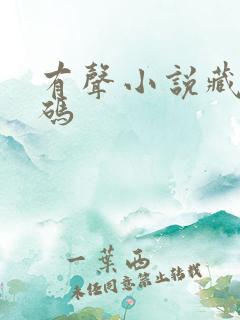 有声小说藏地密码