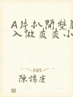 A片扒开双腿进入做爽爽小说