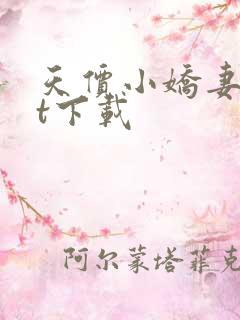 天价小娇妻txt下载