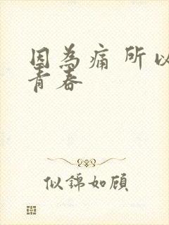 因为痛 所以叫青春