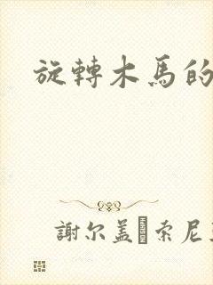 旋转木马的鏖战