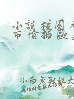 小说 校园 都市 偷拍 欧美