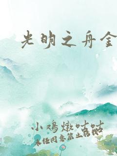 光明之舟金手指