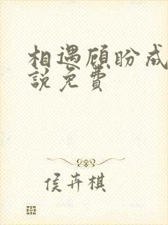 相遇顾盼成欢小说免费